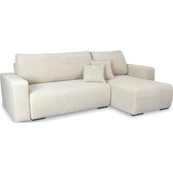 CARLOS NAROŻNIK Z FUNKCJĄ SPANIA I POJEMNIKIEM